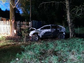 В Приамурье водитель по неизвестной причине въехал в дерево и погиб