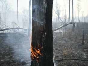 Амурчанин заплатит больше 30 тысяч за то что он пошел спать не затушив огонь во дворе