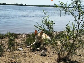 Грозы и местами ливни прогноз погоды на 10 июля в Амурской области