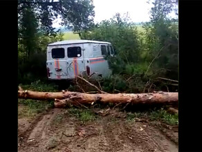 Амурским пожарным пришлось устранять последствия сильного ветра