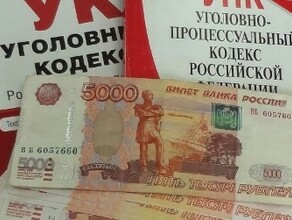 Эксзаведующую дошкольного учреждения Приамурья обвиняют по нескольким уголовным статьям 