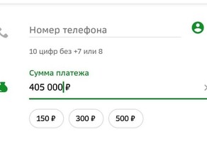 Жительница Благовещенска сделала более 50 переводов отдав мошенникам 25 миллиона рублей