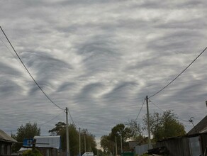 В Приамурье небо раскрасилось в стиле полотен Ван Гога