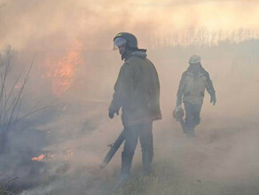 Амурские спасатели тушат палы возникшие по вине населения