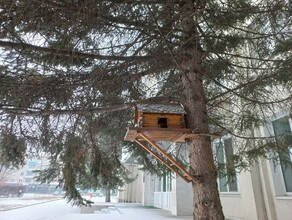 Везде минус прогноз погоды в Амурской области на 12 ноября