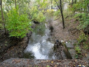 В Благовещенске для выяснения причин подтоплений обследуют городскую систему ливневок 