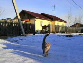 Сельские территории преображаются в Амурской области благодаря госпрограмме