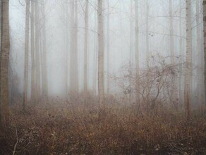 Под Благовещенском при странных обстоятельствах найдено тело пропавшей амурчанки Подробности рассказали родственники фото 