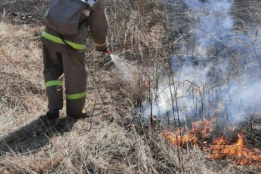 Сожгла мусор а огонь пошел по участкам амурчанка устроила пожар и заплатит солидный штраф 