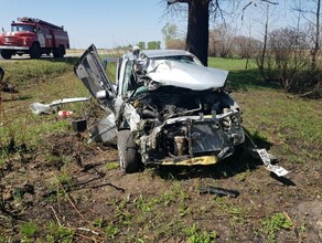 На трассе БлаговещенскБелогорск встреча с трактором оказалась фатальной для иномарки 