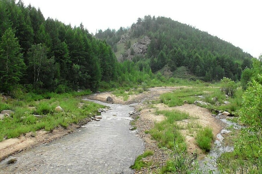 В истоках Амура уровень воды повысился почти на полметра