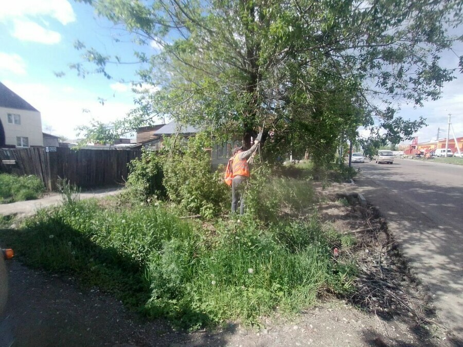 В Благовещенске сотрудники ГСТК обрезают ветви деревьев Где