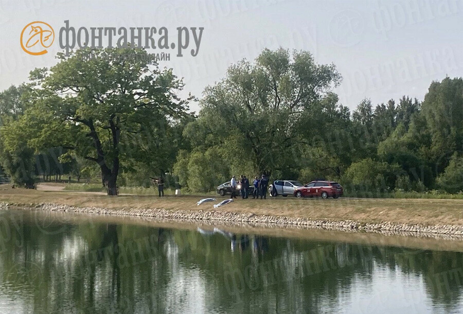 В пруду Петергофа утонули две девочки