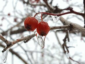 Амурчан ждет дождь и гололед прогноз погоды на 27 октября