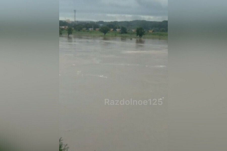 Река в Приморье поднялась настолько сильно что колышет провода ЛЭП видео