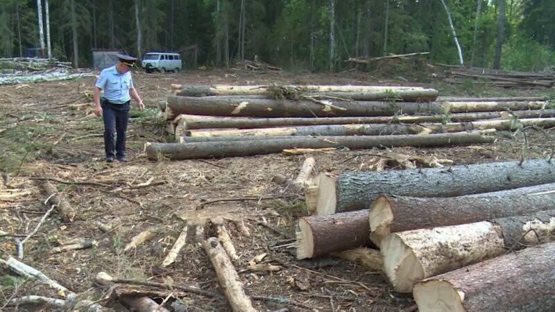 Восемь граждан КНР будут депортированы из Амурской области