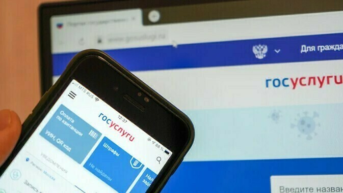 Эксперт мошенники могут получить доступ к Госуслугам через VPN