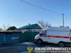 В Приморье мужчина застрелил жену и ребенка после чего покончил с собой 