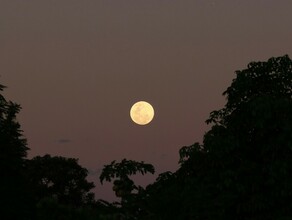 Гороскоп 5 ноября Тельцам нельзя отказывать в помощи Весов ждет тяжелый день