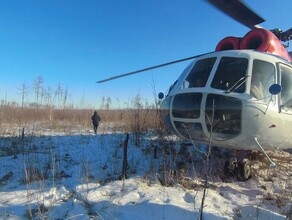  К поискам охотника в Амурской области привлекли вертолет Найдены следы медведя следов человека нет