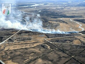 Ситуацию с природными пожарами в Приамурье назвали напряженной фото 