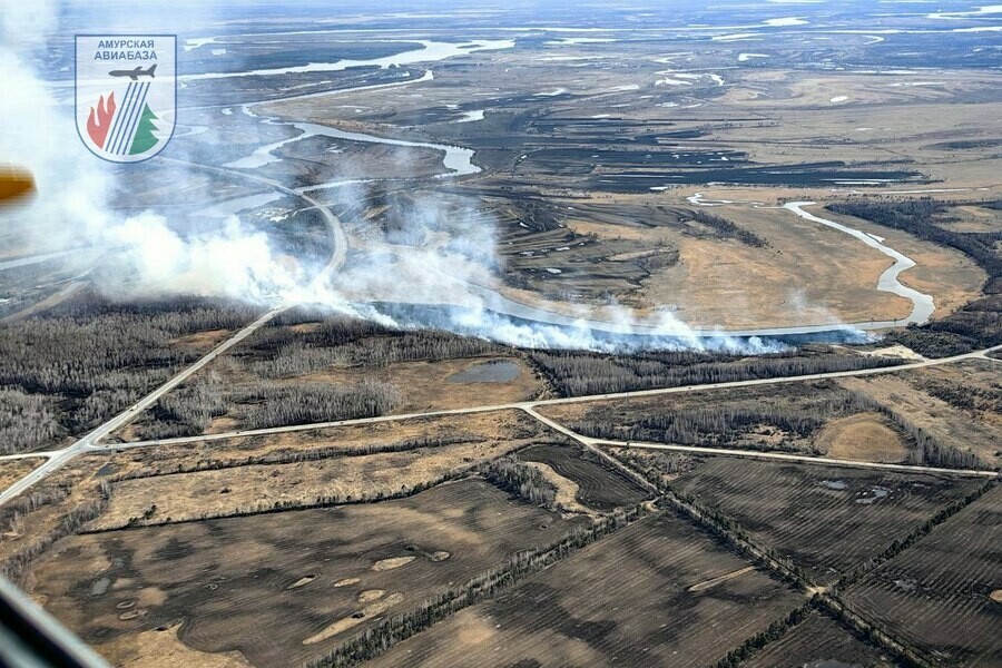 Ситуацию с природными пожарами в Приамурье назвали напряженной фото 