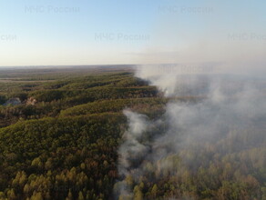 В Амурской области оштрафовали 47 человек их признали виновными в пожарах