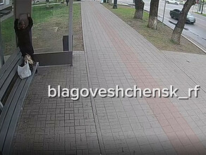 Благовещенка испортила городскую остановку  придется платить видео