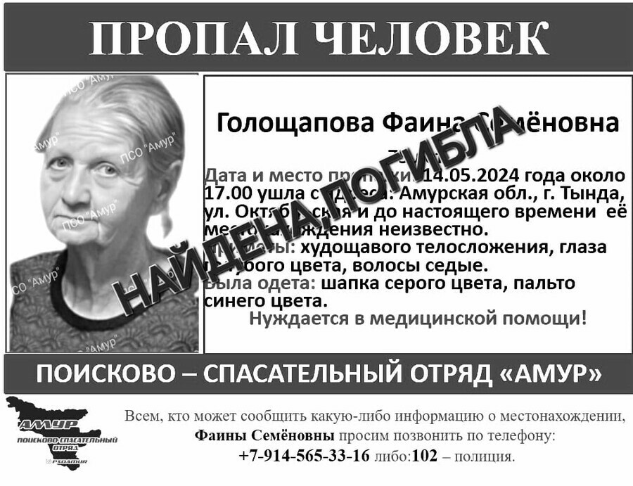 Не успели поезд сбил ПСО Амур рассказал о странностях поведения пропавшей пожилой женщины