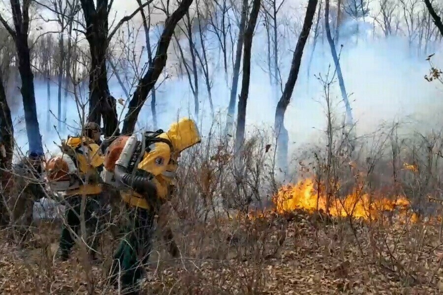 В Амурской области действуют девять природных пожаров