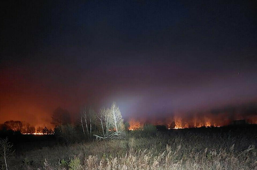 Площадь лесных пожаров в Амурской области сократилась больше чем в 2 раза