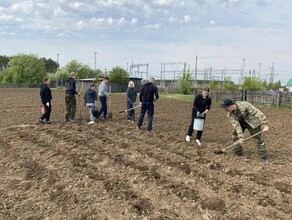 В Амурской области школьники посадили пожилой сельчанке картошку