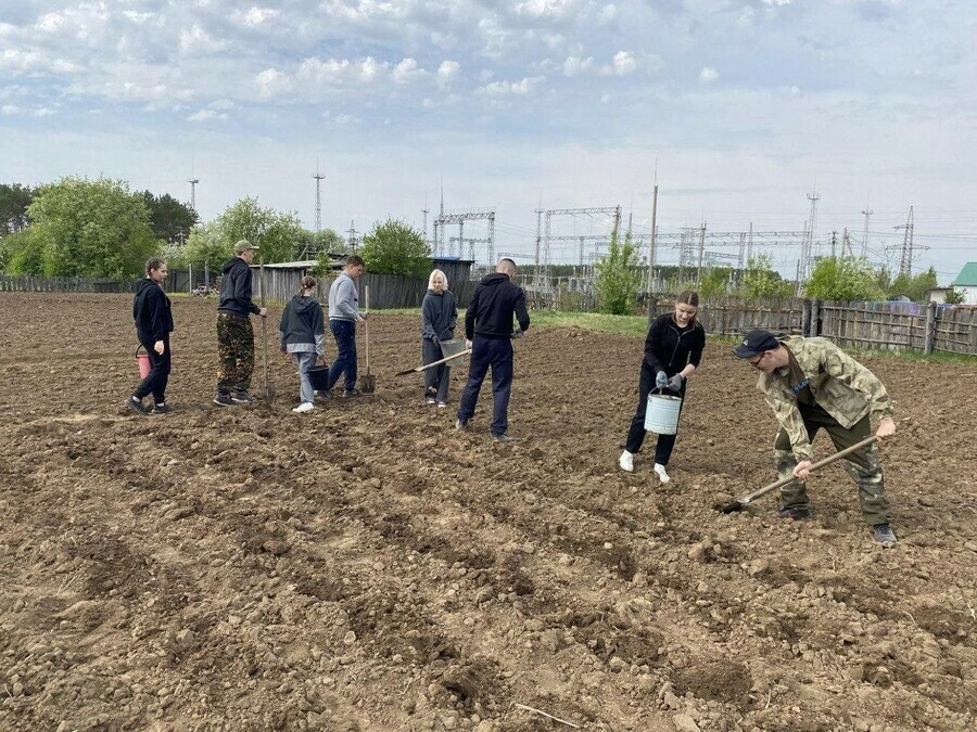 В Амурской области школьники посадили пожилой сельчанке картошку