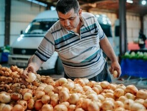 В Приамурье идут проверки объектов торговли Как соблюдается запрет на привлечение мигрантов