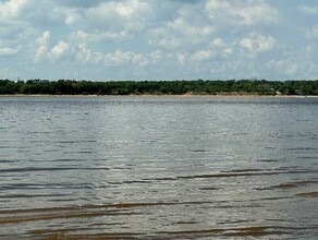 Гулял один и пропал подробности гибели 6летнего ребенка на водоеме в Приамурье озвучил СК 