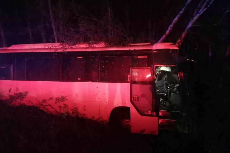 Пассажирский автобус влетел в дерево в Хабаровском крае Водитель погиб на месте у него остались дети фото 