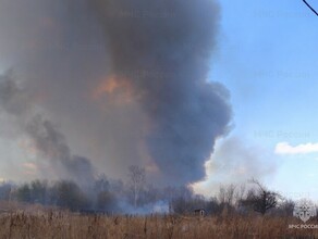 Амурчане более 900 раз нарушили важные правила безопасности 