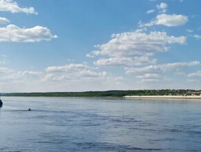 В Хэйхэ на городском пляже на Амуре открылся купальный сезон