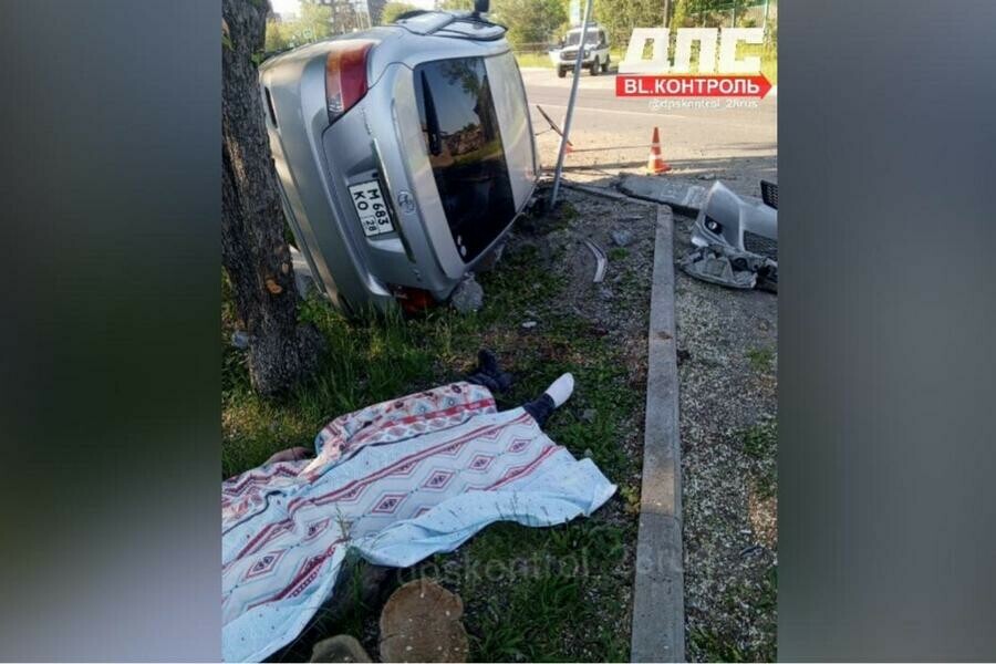 Погиб до приезда скорой помощи смертельное ДТП произошло в Приамурье