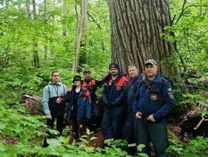 Туристка заблудилась в Приморье и провела ночь в лесу где водятся тигры и медведи