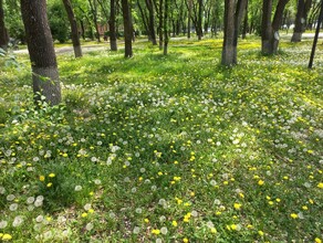 Дождь прогноз погоды в Амурской области на 6 июня