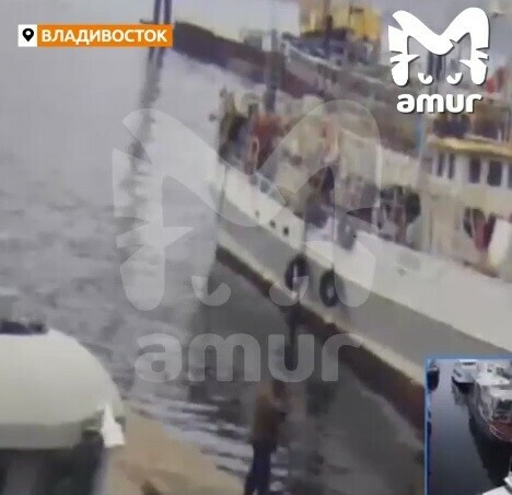 Портовый кран рухнул в море во Владивостоке видео