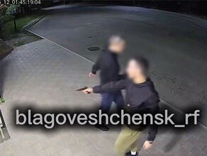 Двое мужчин в Благовещенске решили пострелять на остановке видео