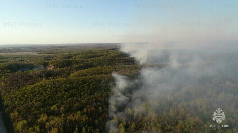 Природные пожары продолжают фиксировать в Амурской области 