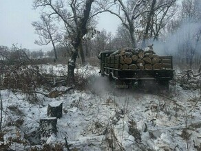 В Приамурье у двух лесорубов конфисковали автомобили и уничтожили бензопилы