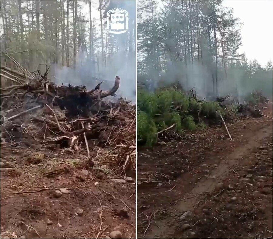 Горели лес и шпалы Пожарные отстояли самый северный поселок Амурской области видео