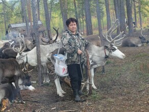 Сломал ногу в тайге 150 километров едешь на олене какая санавиация эвенки высказались о законопроекте заксобрания Об оленеводстве