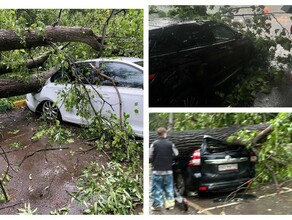 Невероятной силы ураган Эдгар разбушевался в Москве Есть пострадавшие двое погибли видео