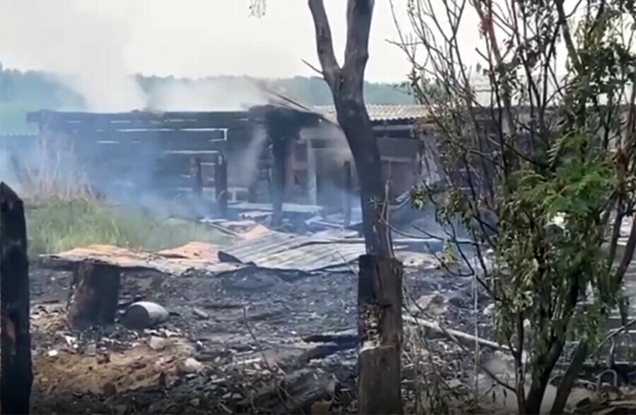У многодетной семьи в Амурской области сгорел дом повреждены надворные постройки погибла птица видео