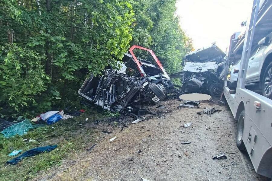 Автовоз столкнулся с фурой в Приамурье оба водителя погибли 